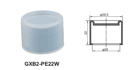 GXB2-PE22W